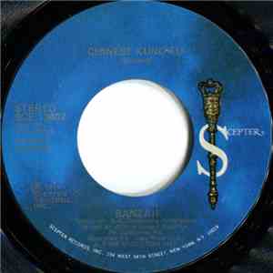 Banzaii - Chinese Kung Fu flac album