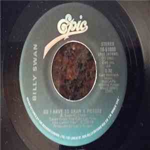 Billy Swan - Do I Have To Draw A Picture flac album