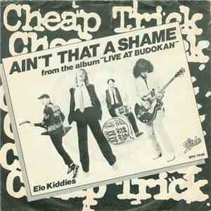 Cheap Trick - Ain't That A Shame flac album