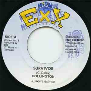 Collington - Survivor flac album