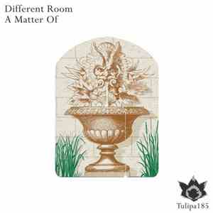 Different Room - A Matter Of flac album