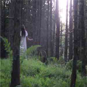 Divil A'Bit - Blackberries & Juniper Twigs flac album