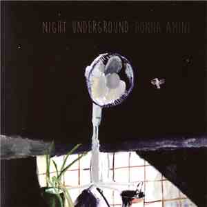 Donna Amini - Night Underground flac album