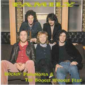 Family  - Rockin' Pneumonia & The Boogie Woogie Flue flac album