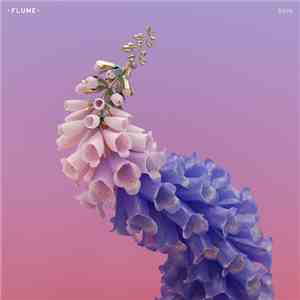 Flume - Skin flac album