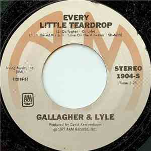 Gallagher & Lyle - Every Little Teardrop flac album