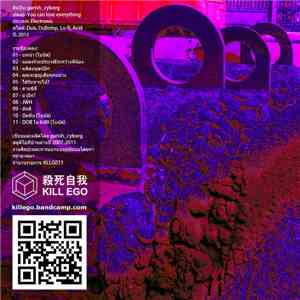 Garish Cyborg - You can lose everything flac album