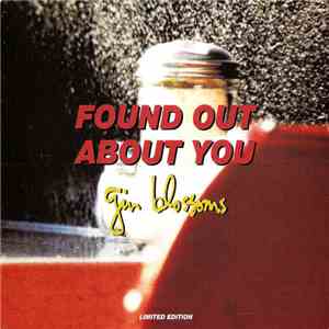 Gin Blossoms - Found Out About You flac album