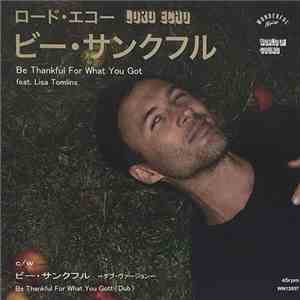 Lord Echo - Be Thankful For What You Got flac album