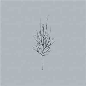Low - Lies flac album