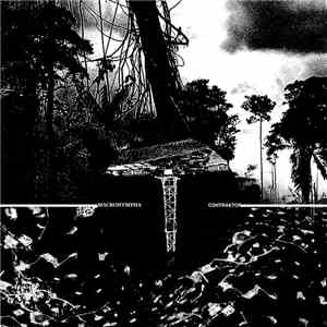 Macronympha / Contraktor - Education Of Logical Facts flac album