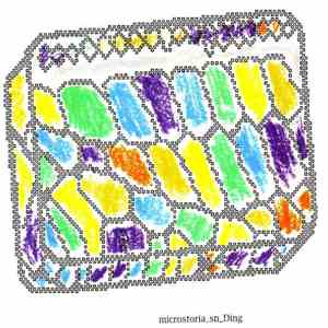 Microstoria - Sn_Ding flac album