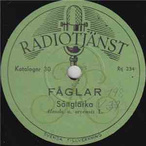 No Artist - Fåglar flac album