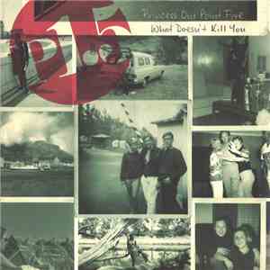 Princess One Point Five - What Doesn't Kill You flac album