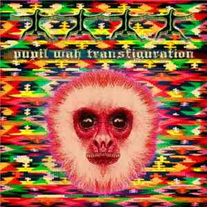 Pupil Wah - Transfiguration flac album