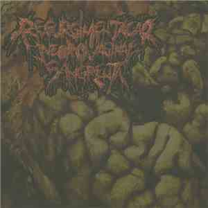 Regurgimentação Necrovaginal Sangrenta - Regurgimentação Necrovaginal Sangrenta flac album