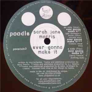 Sarah Jane Morris - Ever Gonna Make It flac album