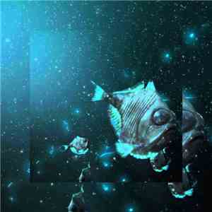 Seashore Darkcave - Into The Midnight Zone flac album