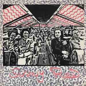 Snowy Red - Vision flac album