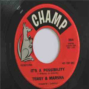 Terry & Marsha - It's A Possibility flac album