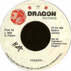 Terry Ganzie - Want De Wood flac album
