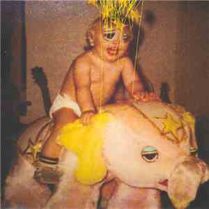 The Flaming Lips - 2nd Cassette Demo flac album