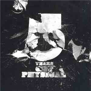 Various - 5 Years Get Physical flac album