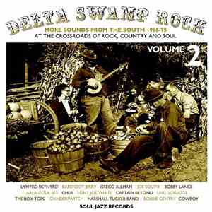 Various - Delta Swamp Rock 2 (More Sounds From The South 1968-75: At The Crossroads Of Rock, Country And Soul) flac album
