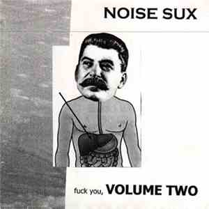 Various - Noise Sux, Fuck You, Volume Two flac album