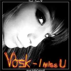 Vosk - I Miss U flac album