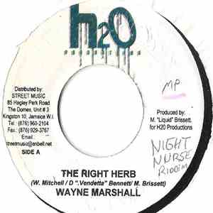 Wayne Marshall - The Right Herb ( Remix ) flac album