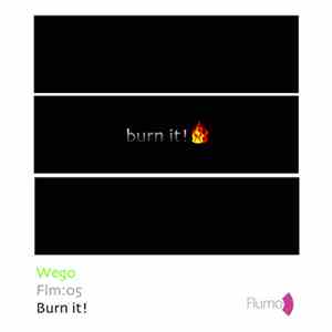 Wego - Burn It flac album