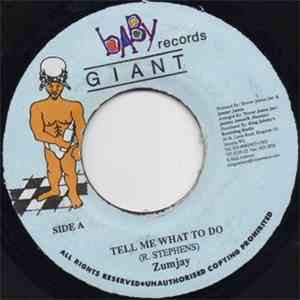 Zumjay - Tell Me What To Do flac album