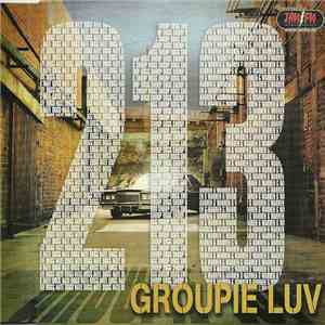 213 - Groupie Luv flac album
