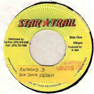 Anthony B - Burn Down Sadom flac album