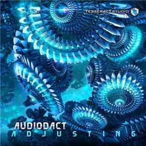 Audiodact - Adjusting flac album