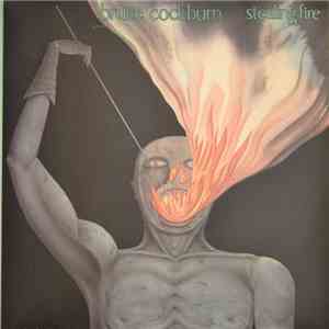 Bruce Cockburn - Stealing Fire flac album