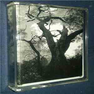 Cicadan - Mother flac album