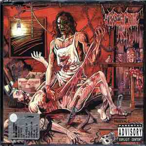 Corpsefucking Art - A Puzzle Of Flesh flac album