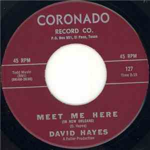 David Hayes  And The Pawns  - Meet Me Here / Lonely flac album
