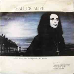Dead Or Alive - Mad, Bad And Dangerous To Know flac album
