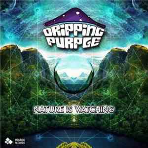 Dripping Purple - Nature Is Watching flac album