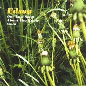 Edson  - One Last Song About You Know What flac album