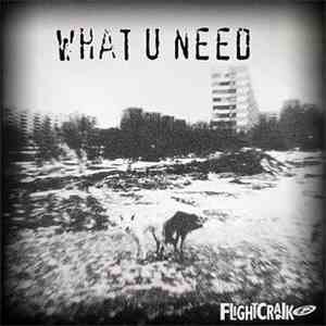 Flightcrank - What U Need flac album