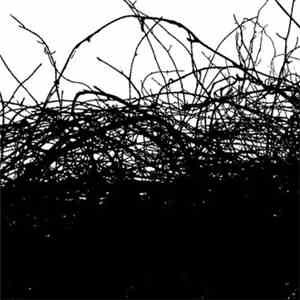 Flint Kids - The Cantor Dust (Remixes) flac album