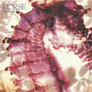 Horse  - Sweet Thing flac album
