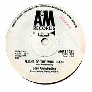 Joan Armatrading - Flight Of The Wild Geese flac album