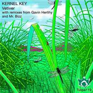 Kernel Key - Vetiver flac album