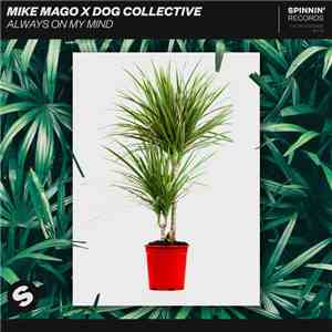 Mike Mago x Dog Collective - Always On My Mind flac album