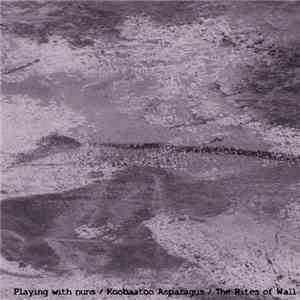 Playing With Nuns / Koobaatoo Asparagus / The Rites Of Wall - Untitled flac album